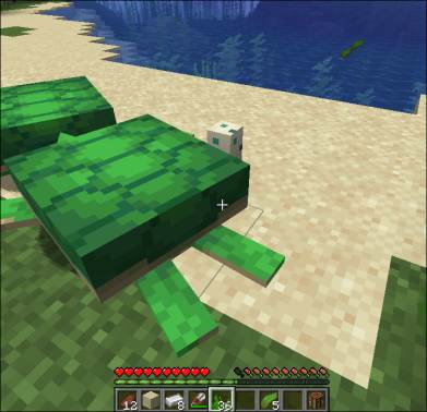 Breed Turtles in Minecraft Step - 5