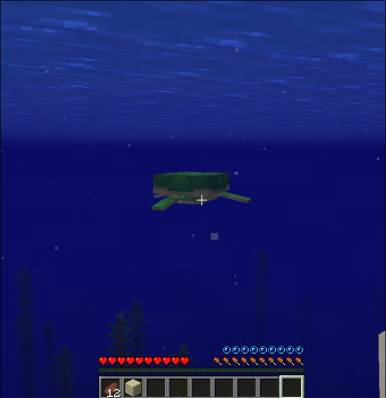 Breed Turtles in Minecraft Step - 1