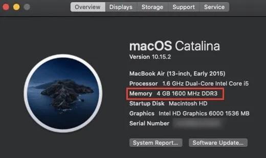 Checking RAM on macOS