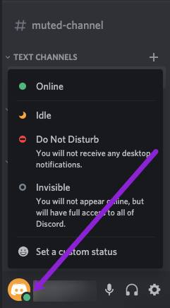 Show Offline in Discord