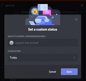 Discord Offline Settings