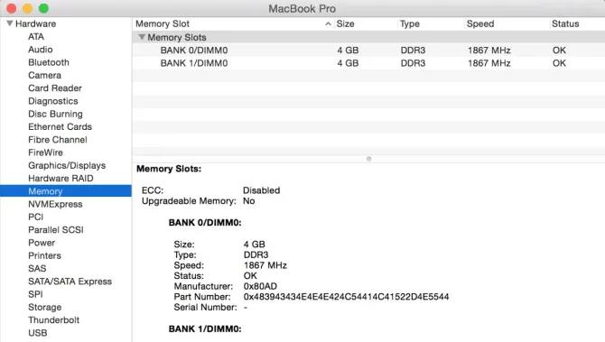 Checking RAM on macOS - 2