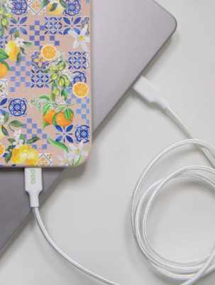 Pela Case Charging Cables