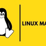 Which Bird is Used as the Official Mascot to the Linux Operating System?